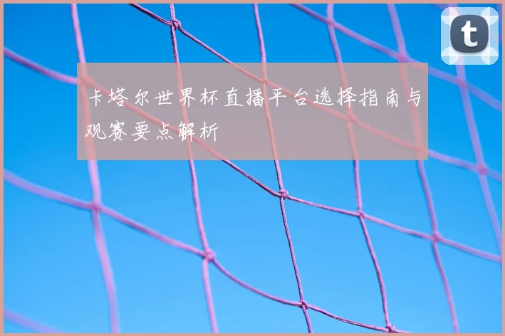 卡塔尔世界杯直播平台选择指南与观赛要点解析