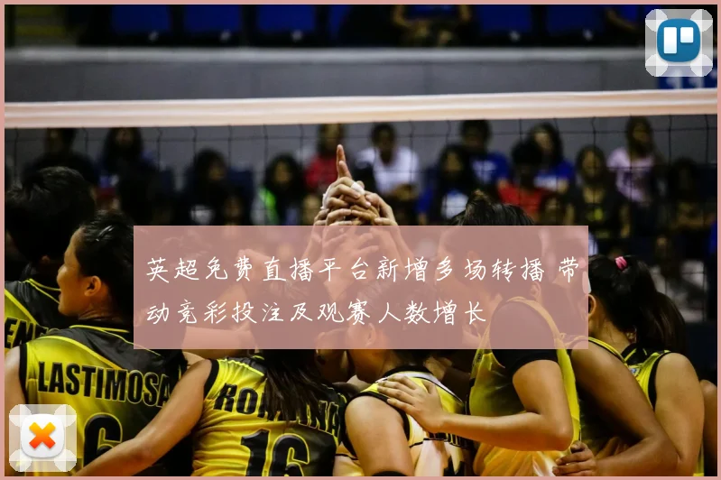 英超免费直播平台新增多场转播 带动竞彩投注及观赛人数增长