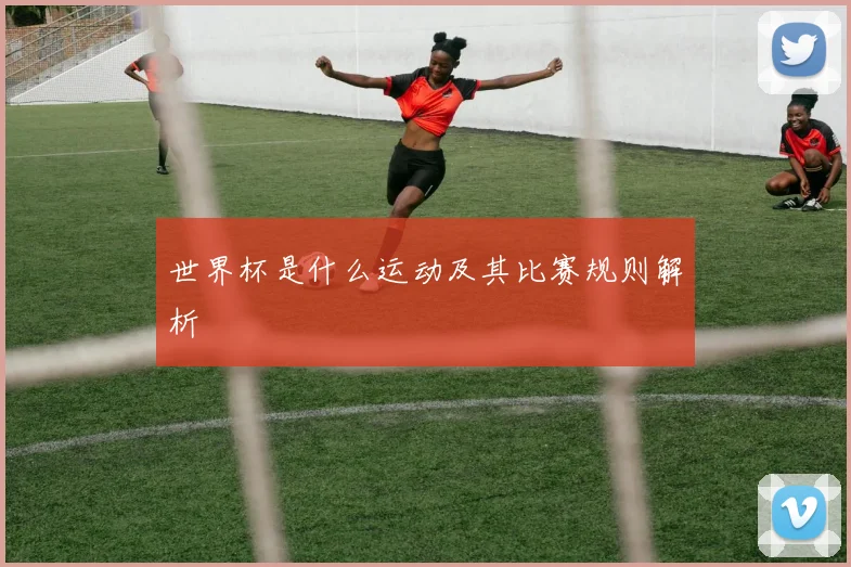 世界杯是什么运动及其比赛规则解析
