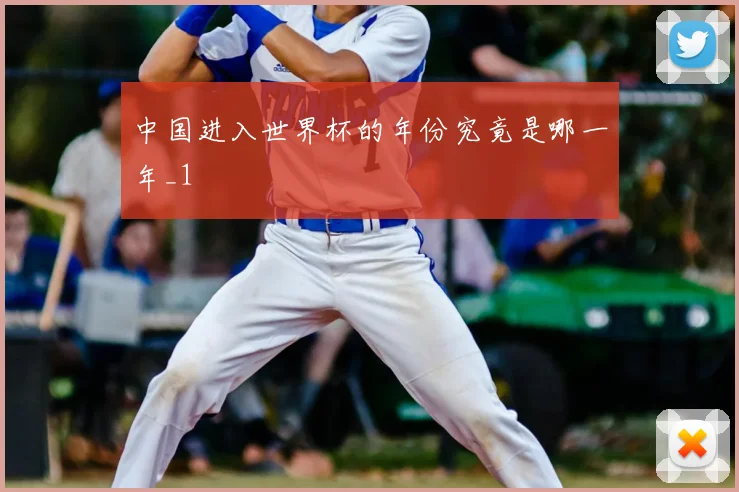 中国进入世界杯的年份究竟是哪一年_1