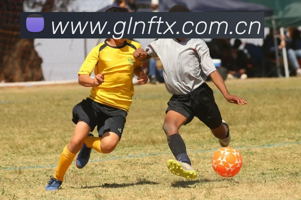 App Interface Preview